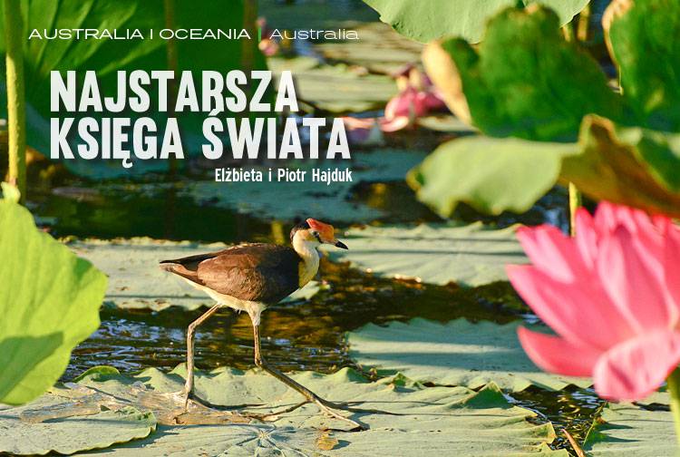 Losowy darmowy artykuł